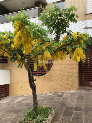 Imagem Apartamento com 3 Quartos à Venda, 126 m² em Centro - Santa Maria Imagem Apartamento com 3 Quartos à Venda, 126 m² em Centro - Santa Maria