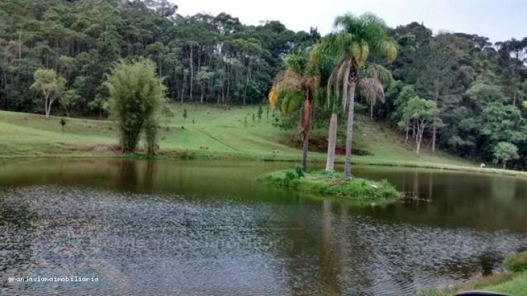 Imagem Chácara à Venda, em Consultar - Cotia Imagem Chácara à Venda, em Consultar - Cotia