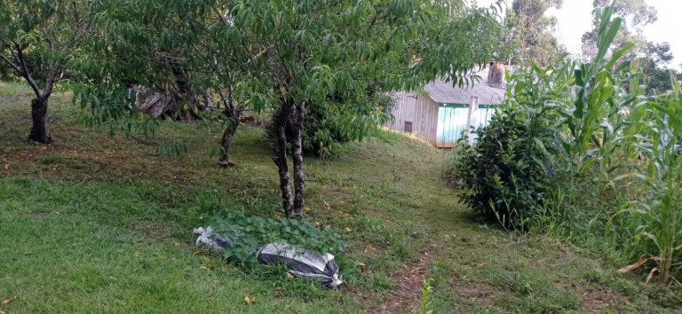 Imagem Chácara com 2 Quartos à Venda, 5.445 m² em Centro - Agudos Do Sul