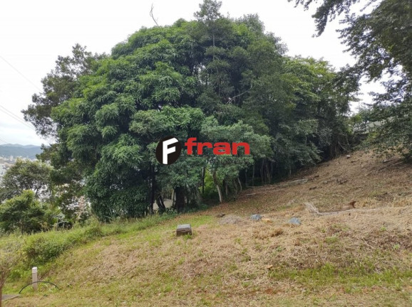 Imóvel à Venda, 530 m² em Córrego Grande - Florianópolis