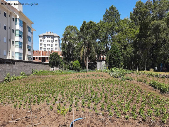 Imagem Terreno à Venda, 1.271 m² em Pousada Da Neve - Nova Petrópolis Imagem Terreno à Venda, 1.271 m² em Pousada Da Neve - Nova Petrópolis