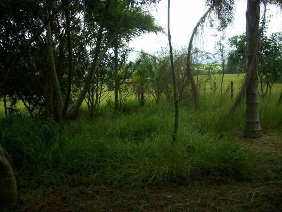 Imagem Chácara com 1 Quarto à Venda, 1.000 m² em Estância Irene - Porangaba