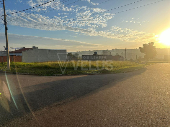 Imagem Terreno à Venda, 260 m² em Bosque Dos Pinheiros - Itapetininga Imagem Terreno à Venda, 260 m² em Bosque Dos Pinheiros - Itapetininga