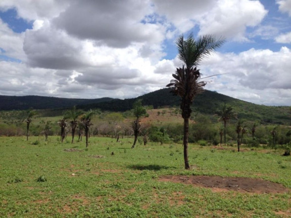 Imagem Fazenda à Venda, 200 m² em Br 116 - Euclides Da Cunha Imagem Fazenda à Venda, 200 m² em Br 116 - Euclides Da Cunha