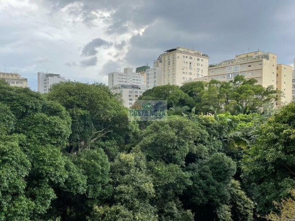 Imagem Apartamento com 3 Quartos à Venda, 219 m² em Higienópolis - São Paulo Imagem Apartamento com 3 Quartos à Venda, 219 m² em Higienópolis - São Paulo