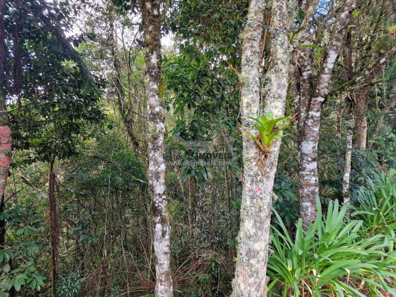 Imagem Terreno à Venda, 1 m² em Alto Capivari - Campos Do Jordão Imagem Terreno à Venda, 1 m² em Alto Capivari - Campos Do Jordão