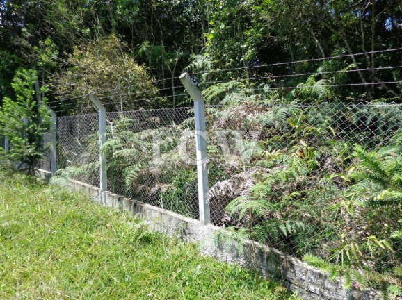 Imagem Imóvel com 4 Quartos à Venda, 48.167 m² em Centro - Mogi Das Cruzes