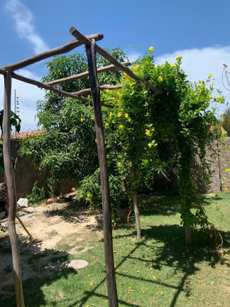 Imagem Casa com 4 Quartos à Venda, 546 m² em Frei Higino - Parnaiba Imagem Casa com 4 Quartos à Venda, 546 m² em Frei Higino - Parnaiba
