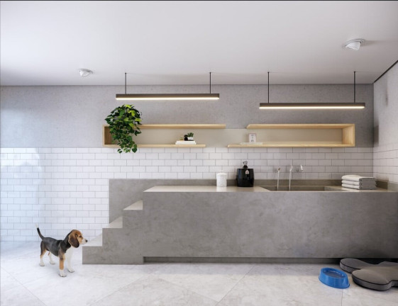 Imagem Apartamento com 3 Quartos à Venda, 92 m² em Vila Mascote - São Paulo Imagem Apartamento com 3 Quartos à Venda, 92 m² em Vila Mascote - São Paulo