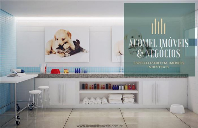 Imagem Apartamento com 2 Quartos à Venda, 69 m² em Vila Tupi - Praia Grande