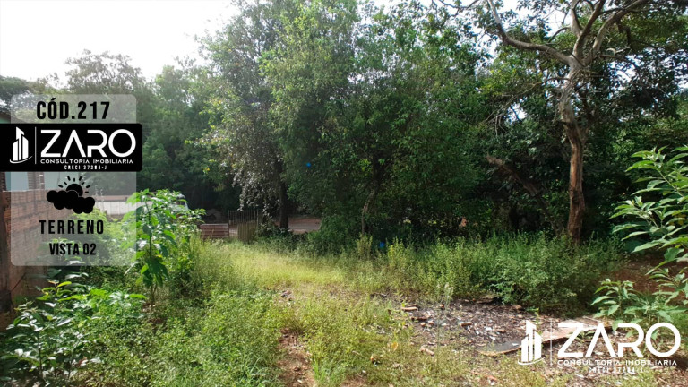 Imagem Terreno à Venda, 250 m² em Assistência - Rio Claro Imagem Terreno à Venda, 250 m² em Assistência - Rio Claro