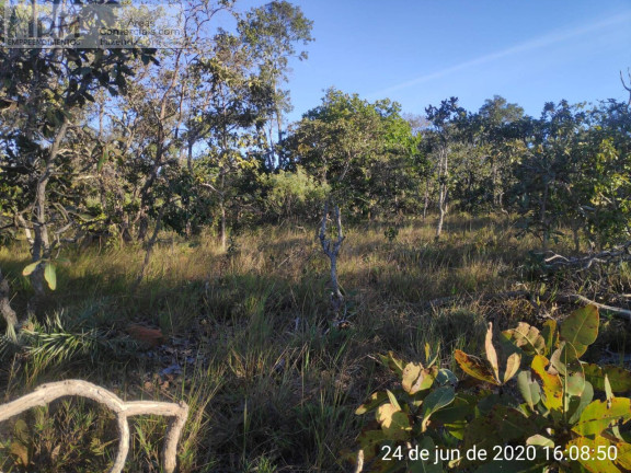 Imagem Chácara à Venda, 49.500.000 m² em Centro - Buritizeiro Imagem Chácara à Venda, 49.500.000 m² em Centro - Buritizeiro