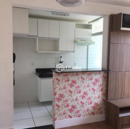 Imagem Apartamento com 2 Quartos à Venda, 49 m² em Jardim Nova Europa - Campinas Imagem Apartamento com 2 Quartos à Venda, 49 m² em Jardim Nova Europa - Campinas