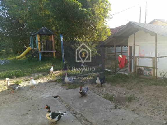 Imagem Chácara com 2 Quartos à Venda, 1.298 m² em Itaguaí - Mongaguá Imagem Chácara com 2 Quartos à Venda, 1.298 m² em Itaguaí - Mongaguá