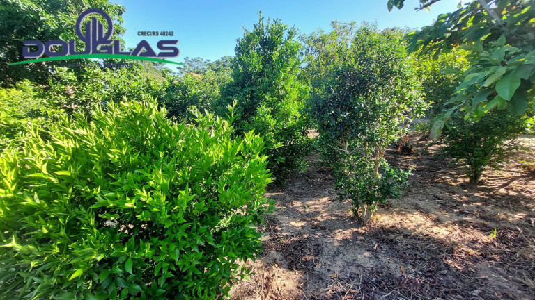 Imagem Terreno à Venda, em águas Claras - Viamão Imagem Terreno à Venda, em águas Claras - Viamão