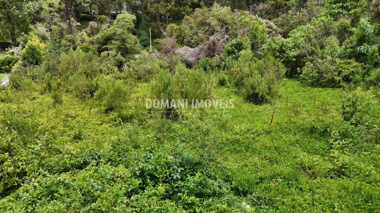 Imagem Terreno à Venda, 1.590 m² em Região De Capivari - Campos Do Jordão