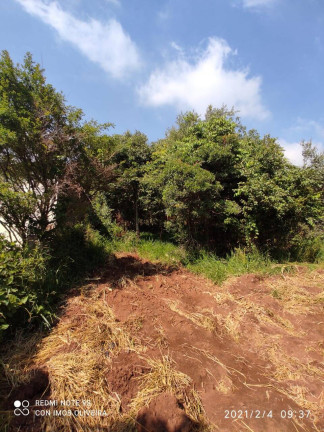 Imagem Chácara com 2 Quartos à Venda, 11 m² em Centro - Salto De Pirapora