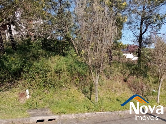 Imagem Imóvel à Venda, 474 m² em Pousada Da Neve - Nova Petrópolis