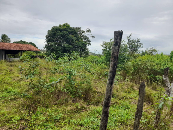 Imagem Terreno à Venda, 4.550 m² em Cabeceiras - Tibau Do Sul Imagem Terreno à Venda, 4.550 m² em Cabeceiras - Tibau Do Sul