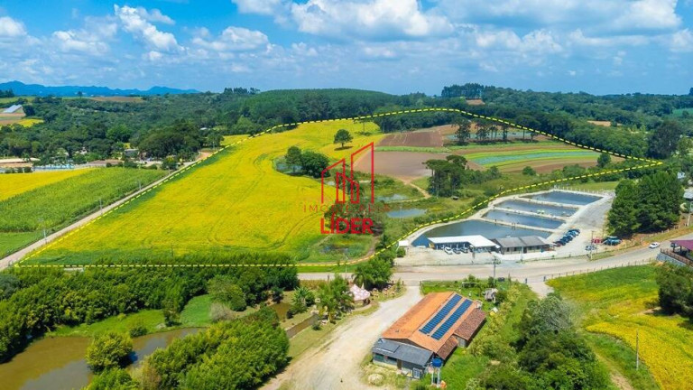 Terreno à Venda, 114.345 m² em Colônia Murici - São José Dos Pinhais