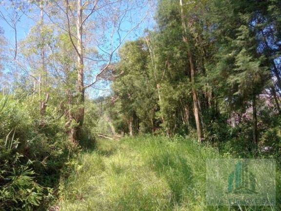 Imagem Terreno à Venda, 1.300 m² em Jardim Dos Eucaliptos - Suzano Imagem Terreno à Venda, 1.300 m² em Jardim Dos Eucaliptos - Suzano