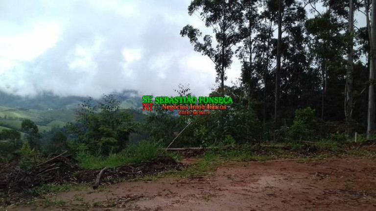 Imagem Chácara à Venda, 30.000 m² em Centro - Monteiro Lobato Imagem Chácara à Venda, 30.000 m² em Centro - Monteiro Lobato