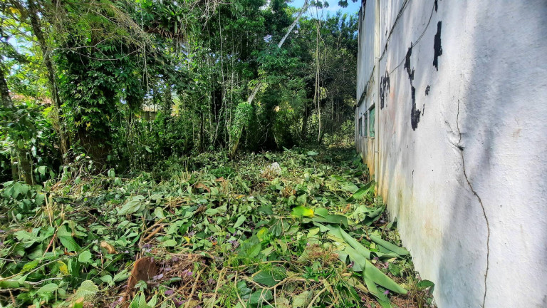 Imagem Terreno à Venda, 280 m² em Tabatinga - Caraguatatuba Imagem Terreno à Venda, 280 m² em Tabatinga - Caraguatatuba