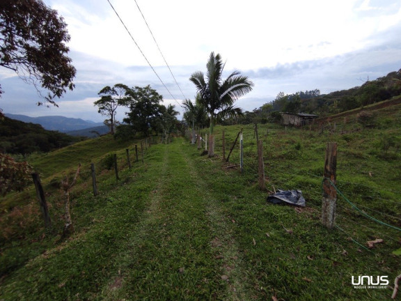 Imagem Fazenda à Venda, 13.000 m² em Pagará - São Pedro De Alcântara Imagem Fazenda à Venda, 13.000 m² em Pagará - São Pedro De Alcântara