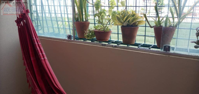 Imagem Apartamento com 3 Quartos à Venda, 75 m² em Casa Caiada - Olinda