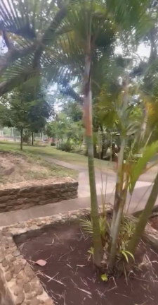 Imagem Terreno em Condomínio à Venda, 360 m² em Aldeia Dos Camarás - Camaragibe Imagem Terreno em Condomínio à Venda, 360 m² em Aldeia Dos Camarás - Camaragibe
