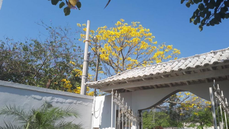 Casa com 3 Quartos para Alugar,  em Campo Grande - Rio De Janeiro