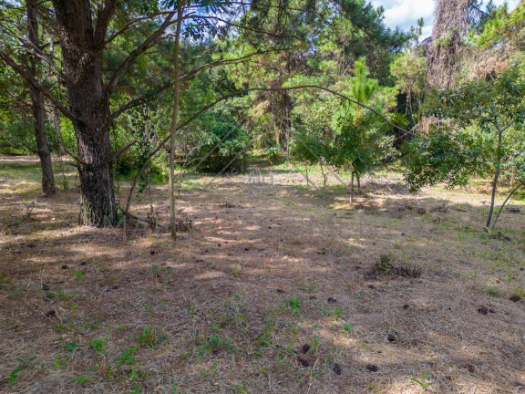 Imagem Terreno à Venda, 21.000 m² em Chácaras Alpina - Valinhos