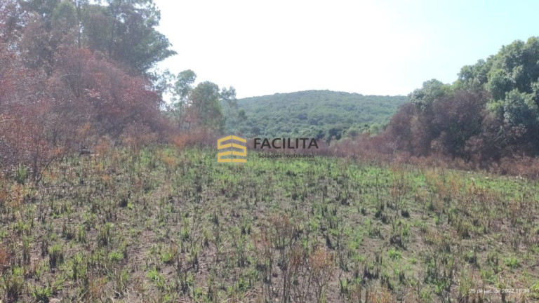 Imagem Imóvel com 3 Quartos à Venda, 2.600.000 m² em 1º Distrito - Canguçu Imagem Imóvel com 3 Quartos à Venda, 2.600.000 m² em 1º Distrito - Canguçu
