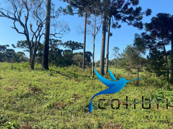 Imagem Terreno à Venda, 5.220 m² em Trigolândia - Piên Imagem Terreno à Venda, 5.220 m² em Trigolândia - Piên