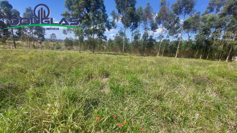 Terreno à Venda, 462 m² em águas Claras - Viamão