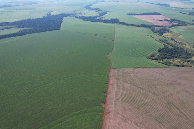 Imagem Fazenda à Venda, 540 m² em Zona Rural - Munhoz De Melo