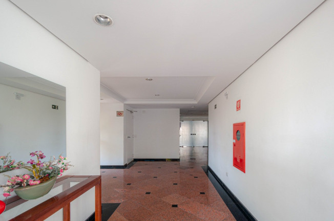 Imagem Apartamento com 3 Quartos à Venda, 66 m² em Jardim São Paulo - São Paulo