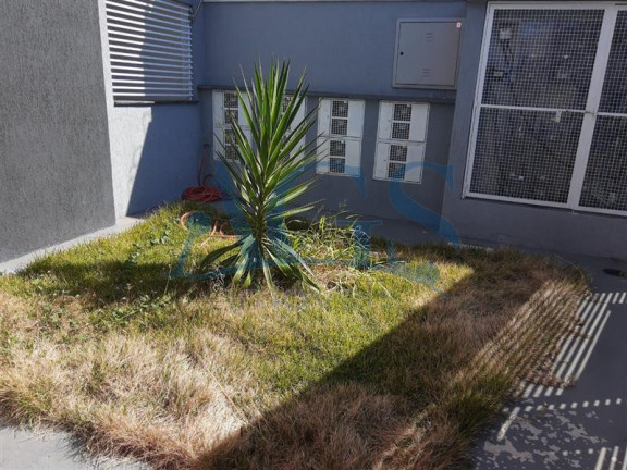 Imagem Apartamento com 2 Quartos à Venda, 42 m² em Penha - São Paulo