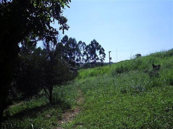 Imagem Imóvel com 3 Quartos à Venda, 37.800 m² em Três Vendas - Campinas