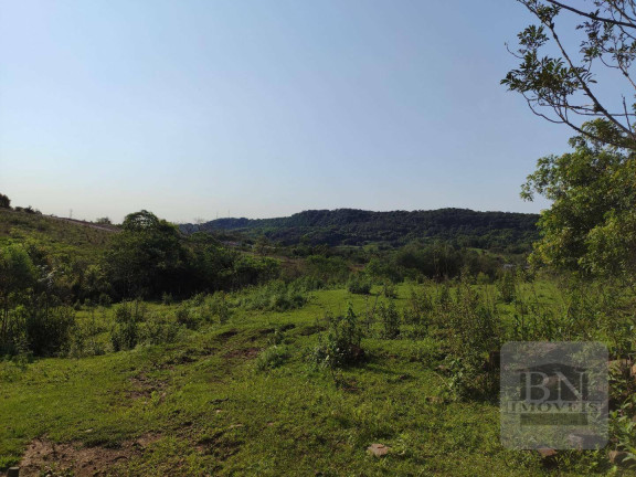 Imagem Imóvel à Venda, 125.895 m² em Aliança - Santa Cruz Do Sul Imagem Imóvel à Venda, 125.895 m² em Aliança - Santa Cruz Do Sul