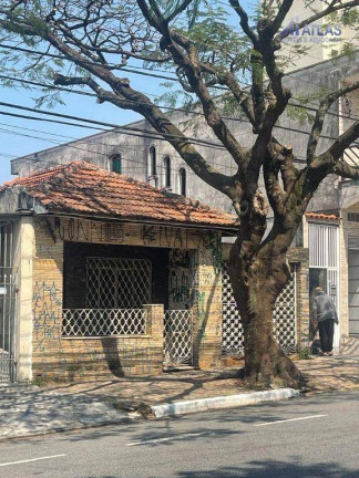 Terreno à Venda, 288 m² em Vila Maria Alta - São Paulo