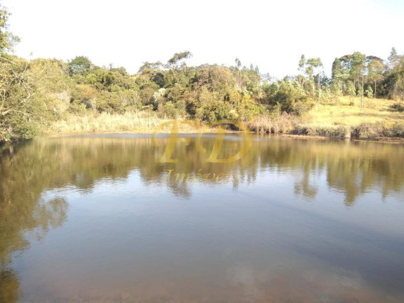 Imagem Chácara com 6 Quartos à Venda, 40.000 m² em Não Especificado - Jarinu Imagem Chácara com 6 Quartos à Venda, 40.000 m² em Não Especificado - Jarinu