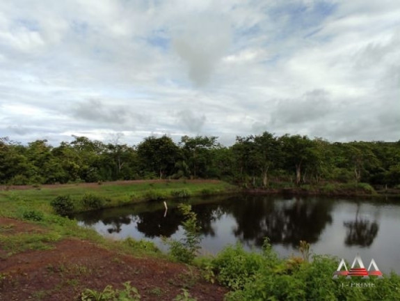 Imagem Fazenda à Venda, 6.200.000 m² em Centro - Acorizal Imagem Fazenda à Venda, 6.200.000 m² em Centro - Acorizal