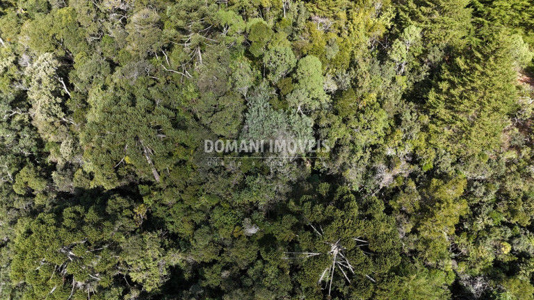 Imagem Terreno à Venda, 2.570 m² em Região De Capivari - Campos Do Jordão Imagem Terreno à Venda, 2.570 m² em Região De Capivari - Campos Do Jordão