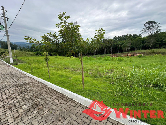 Imagem Terreno à Venda, 390 m² em Picada Cara - Feliz