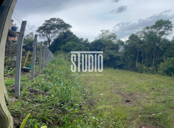 Terreno à Venda, 10.000 m² em Desvio Machado - Carlos Barbosa