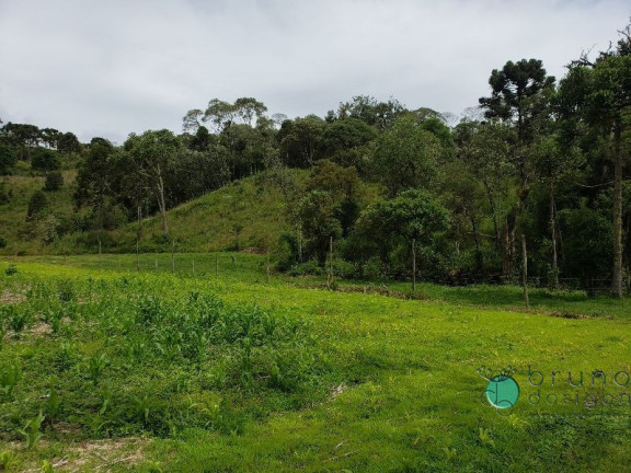Imagem Imóvel com 3 Quartos à Venda, 350.000 m² em Zona Rural - Bom Retiro