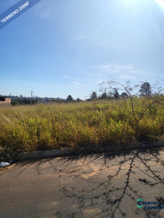 Imóvel à Venda, 250 m² em Parque Santa Hilda - Franca