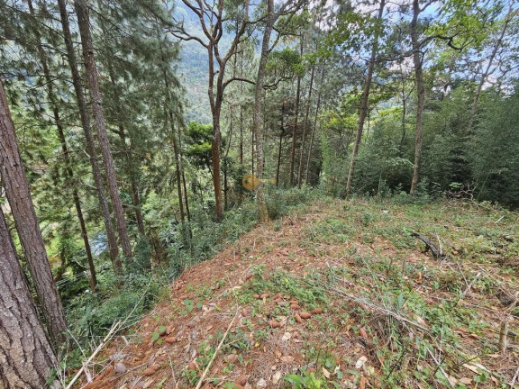 Imagem Terreno à Venda, 670 m² em Cascata Dos Amores - Teresópolis Imagem Terreno à Venda, 670 m² em Cascata Dos Amores - Teresópolis