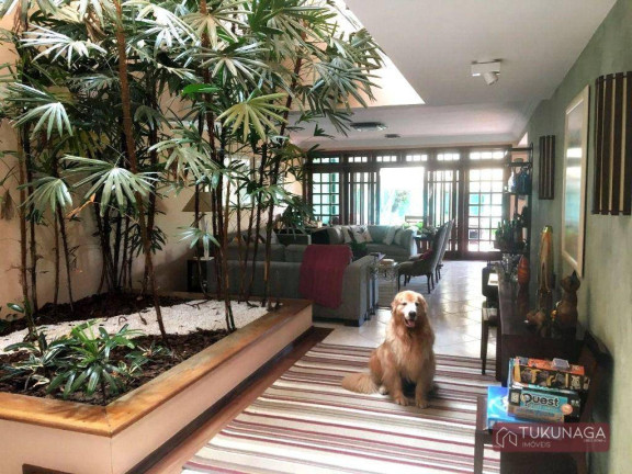Imagem Sobrado com 3 Quartos à Venda, 500 m² em Vila Rosália - Guarulhos Imagem Sobrado com 3 Quartos à Venda, 500 m² em Vila Rosália - Guarulhos